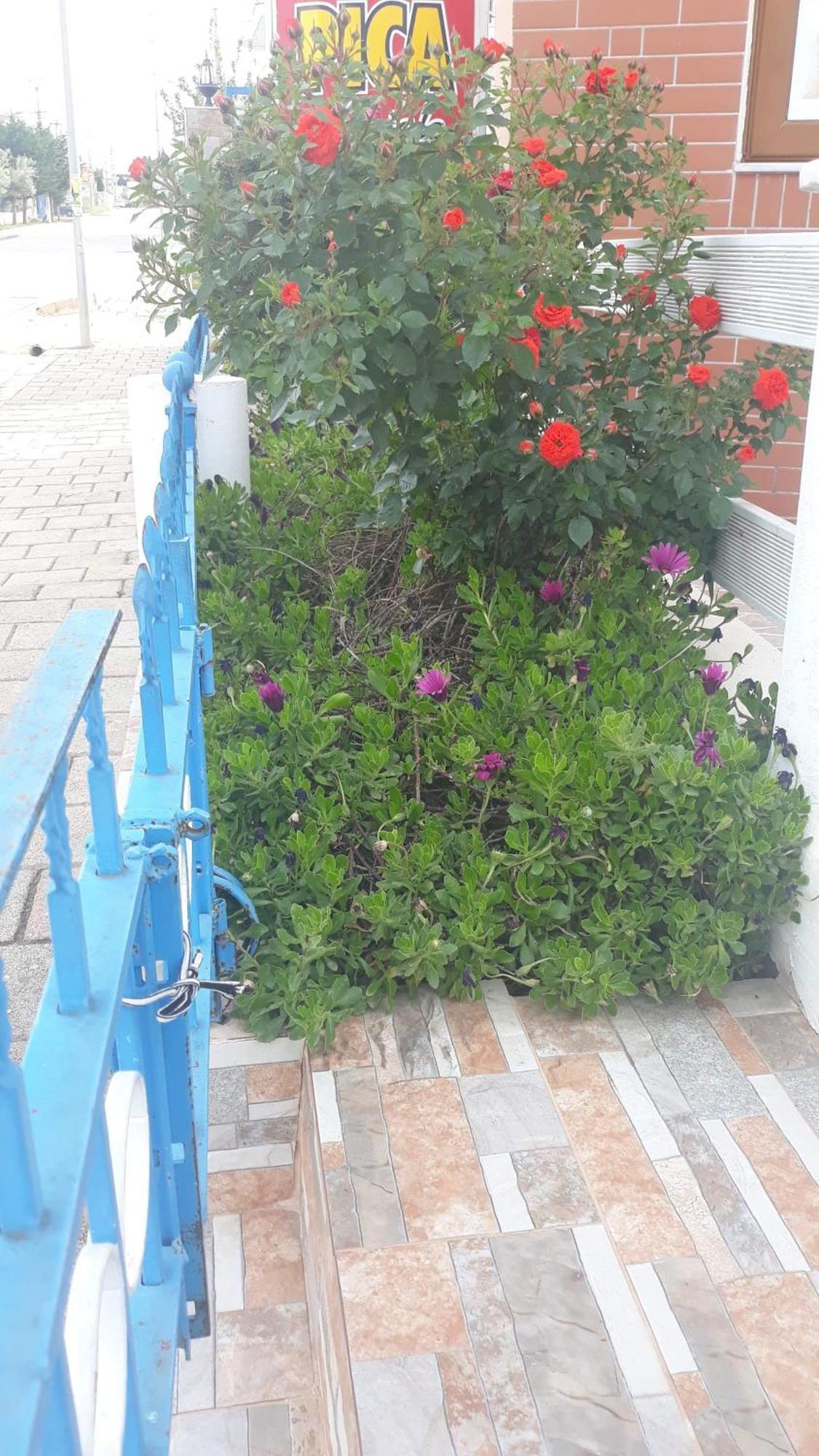 Vila Shuka Ksamil Sarandë Buitenkant foto