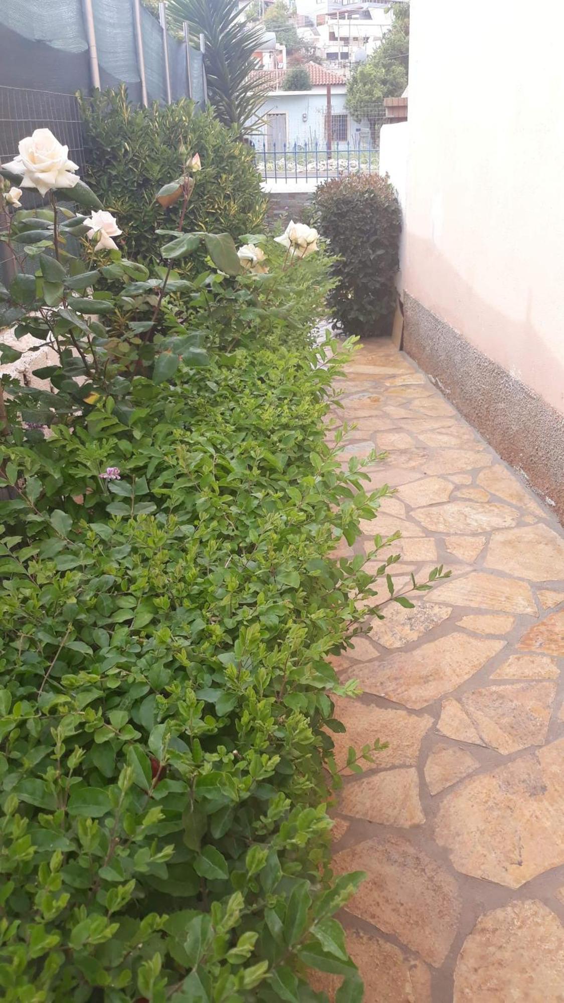 Vila Shuka Ksamil Sarandë Buitenkant foto